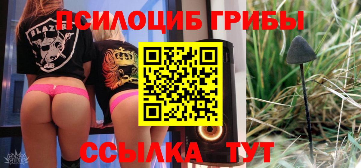 купить   Галлюциногенные грибы MAGIC MUSHROOMS  Псилоцибиновые грибы Magic Shrooms  Вход с VPN  Ханты-Мансийск 